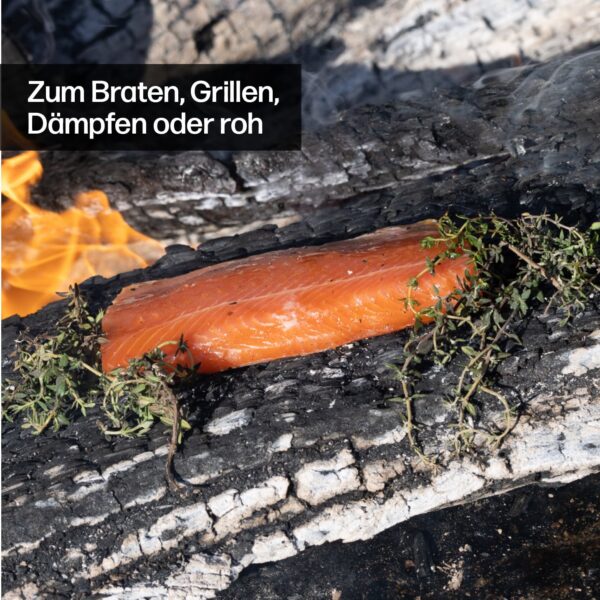 Hardcore Zander zum Braten, Grillen, Dämpfen oder roh